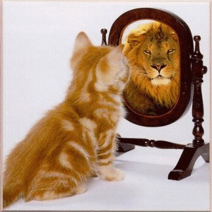 looking-in-the-mirror-lion